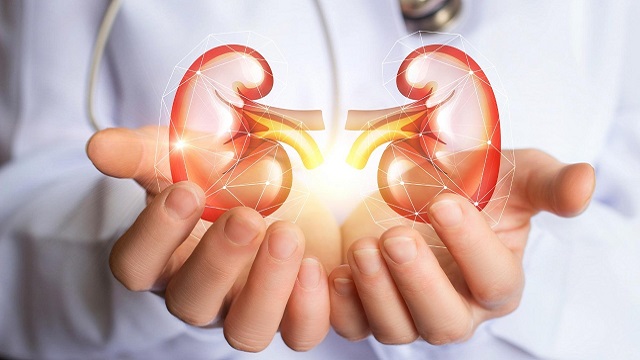 Kidney stones: What Are They? Understand the Causes, Preventative Measures, and Maintenance Advice for Healthy Kidneys