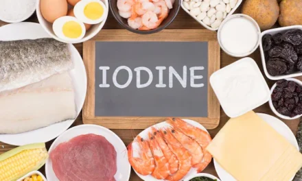 Iodine Function in the Thyroid