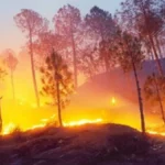 3 People Arrested As Uttarakhand Forest Fire Spreads To Nainital HC Colony