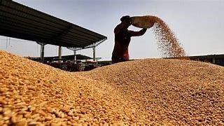 For the third consecutive year, U.P. reports poor wheat procurement by government agencies.