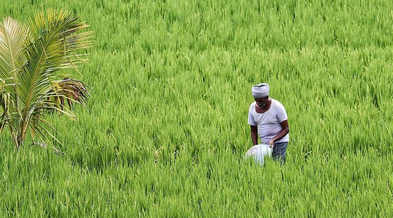 Haryana: Engage public sector firm, says farmers’ body