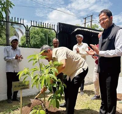 Haryana News: Senior Officers of HVPNL plants saplings, gives message of environmental conservation