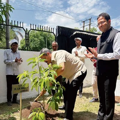 Haryana News: Senior Officers of HVPNL plants saplings, gives message of environmental conservation