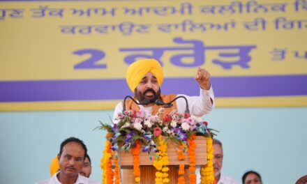 CM Bhagwant Mann said Forces inimical to peace, progress and prosperity of Punjab state spreading canards about me