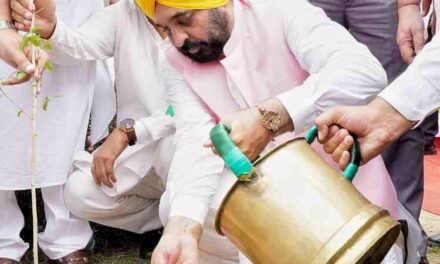 CM Bhagwant Singh Mann exhorts people to transform plantation drive into a mass movement