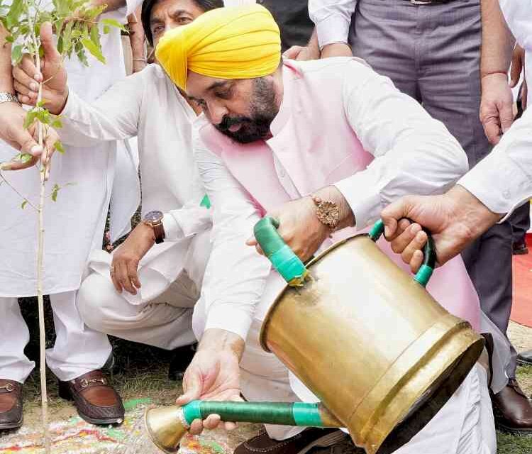 CM Bhagwant Singh Mann exhorts people to transform plantation drive into a mass movement