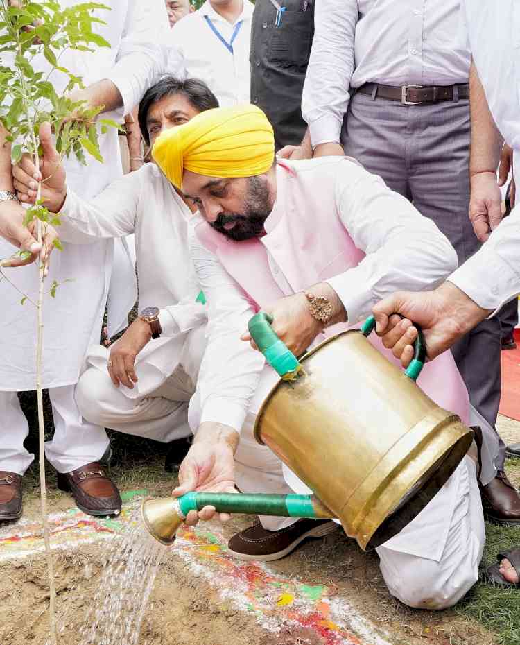 CM Bhagwant Singh Mann exhorts people to transform plantation drive into a mass movement