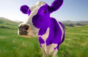 MrBeast Reveals “Purple Cow” Secret Behind His $700 Million YouTube Empire